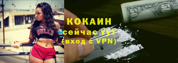 индика Пыталово