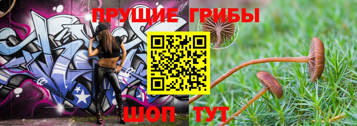 Тула  КОКАИН  НБОМе  Сколько стоит  МЕТАМФЕТАМИН  Вход с VPN  Гашиш  Марихуана  Мефедрон кристаллы 