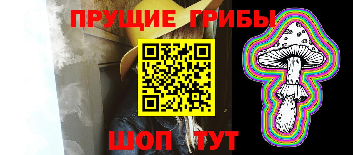 Псилоцибиновые грибы GOLDEN TEACHER Тула